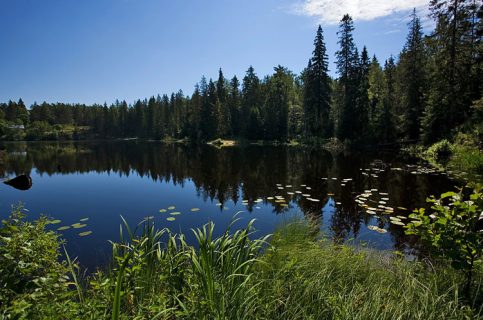 Игуменское озеро посередине острова Валаам.