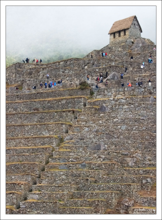 Ритмичные террасы.