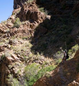 На тропе Window Trail по краю скалы.