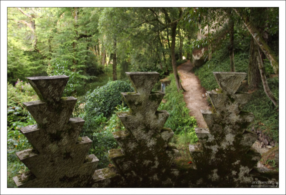 В глухом уголке парка Quinta da Regaleira.