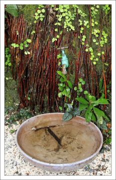 Дерево Los Barbados tree, в честь которого назван весь остров. Заповедник Flower Forest.