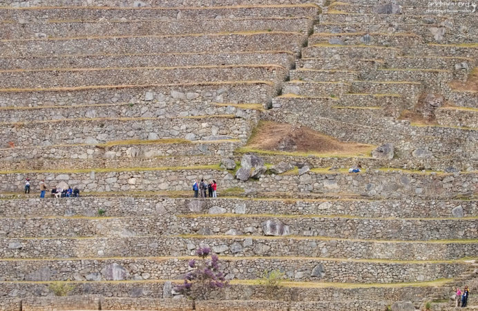 Через час после открытия стали подтягиваться туристические группы.