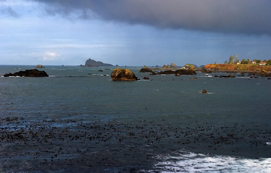 Сложный пассаж к северной части Crescent City.