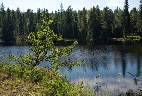 Спокойные воды Игуменского озера.