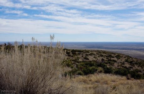 На поверхности.