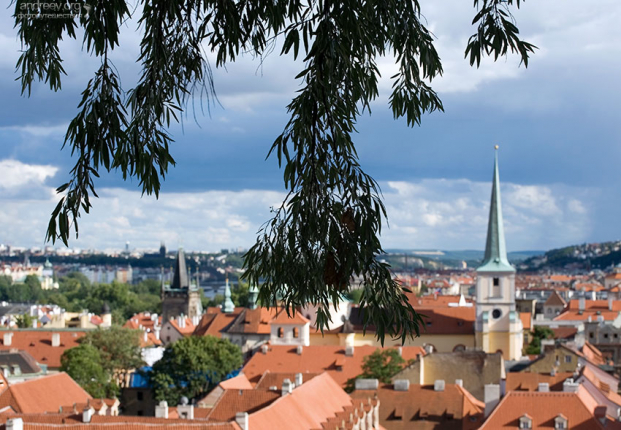 В красно-оранжевом море крыш встречаются островки зелени.