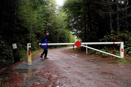 Шлагбаум на кодовом замке, закрывающий дорогу к Tall Trees. Redwood National Park.