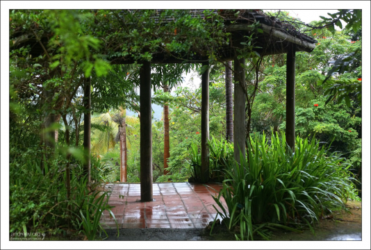 Беседка, увитая плющом. Заповедник Flower Forest.