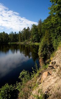 Северная часть Игуменского озера и сибирские лиственницы.