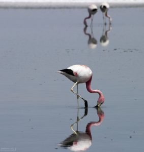 Один плюс два.