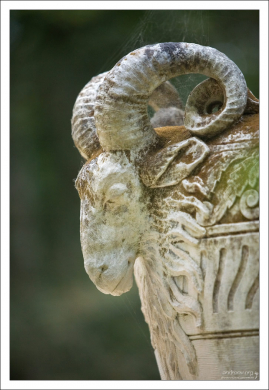 Баран, запутавшийся рогами в паутине. Парк Кинта да Регалейра.