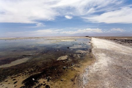 Лагуна Chaxa на соляной равнине Salar de Atacama.