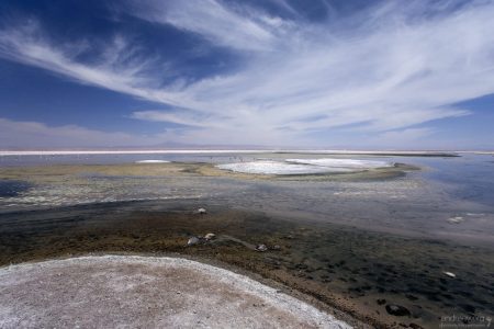 Островки соли в лагуне Chaxa. Salar de Atacama.