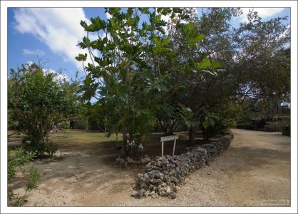 Ботанический сад имени королевы Елизаветы II.