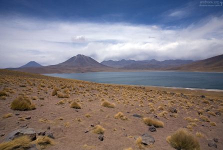 Скрытая за перевалом Laguna Miscanti.