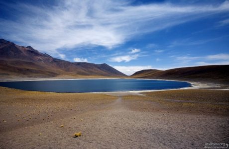 Сезонная Laguna Miñiques, полтора километра в диаметре.