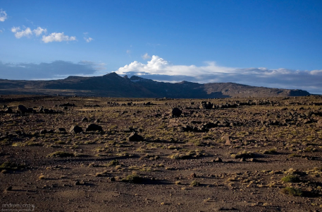 Почти 5 тысяч метров! Деревьев уже нет.