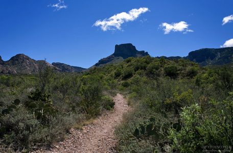 Плоский участок тропы Window Trail по направлению к Casa Grande.