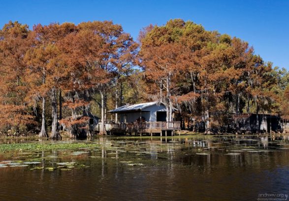 Все дома на берегах подняты на сваях.