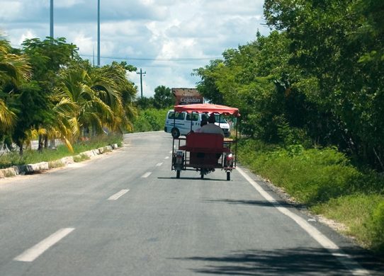 Велосипед-рикша - распространенное средство передвижения в Селестуне.