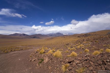 Дорога в Боливию.