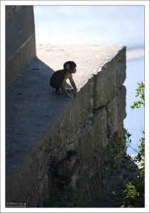 Продовольственное пособие для маготов (фрукты, овощи и орехи) включалось в бюджет страны.