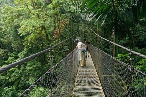 Один из шести подвестных мостов в джунглях, на высоте около 30 метров.