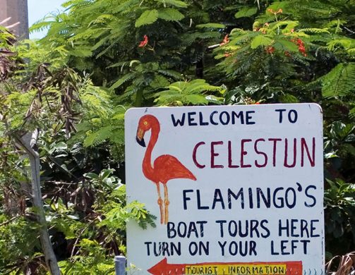 Надпись у границ заповедника Celestun Biosphere Reserve.