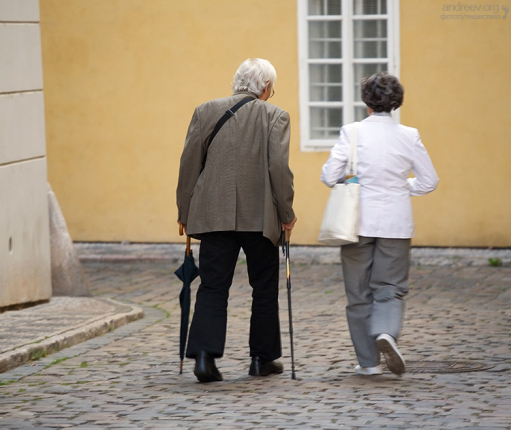 Прогуливающаяся парочка.