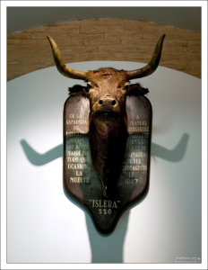 Голова коровы Ислеры - матери быка, смертельно ранившего Манолете. Музей корриды.