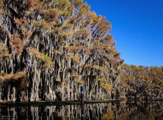 Поздней осенью и зимой поверхность озера напоминает зеркало.