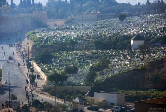 Мусульманское кладбище на северном холме. Фес.