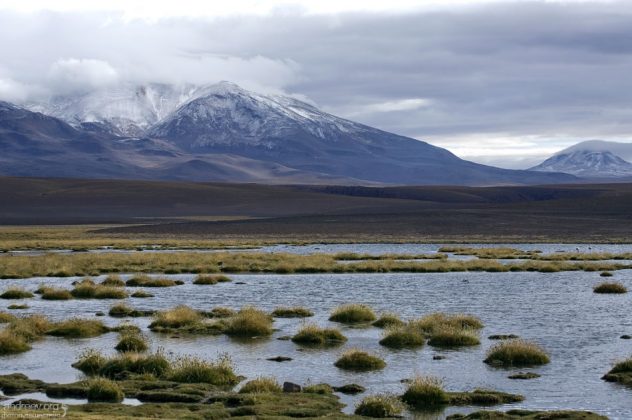 Высокогорье на пути к El Tatio.