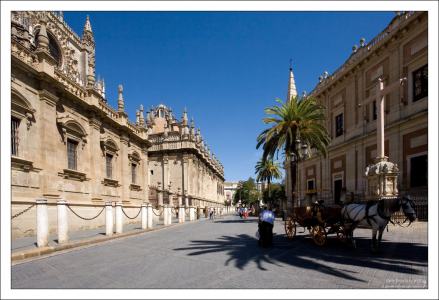 Лошадиная стоянка возле Севильского собора.