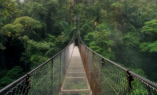 Подвесной мост под дождем (hanging bridge).