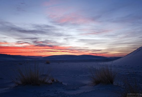 Начало нового дня в парке.