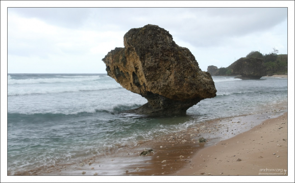 Причудливый булыжник, подточенный водой. Пляж Bathsheba.