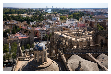 Крыша Севильского собора.