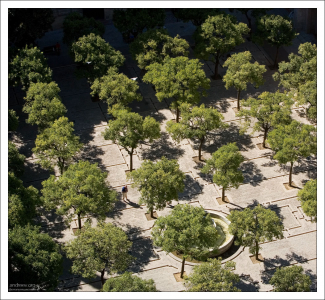 Апельсиновый дворик - Patio de los Naranjos.