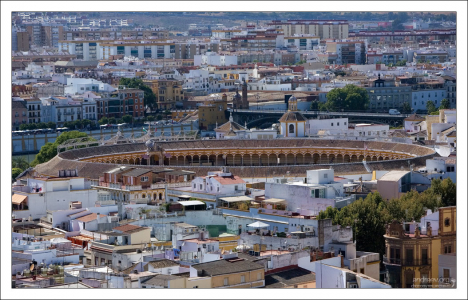 Арена для корриды Plaza de Toros de la Maestranza с высоты Севильского собора.