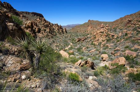 Горная часть тропы Grapevine Hills Trail.
