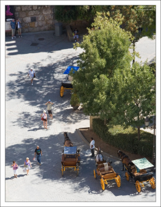 Прогулочные экипажи ждут туристов.