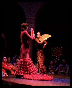 Начало представления в Музее фламенко.