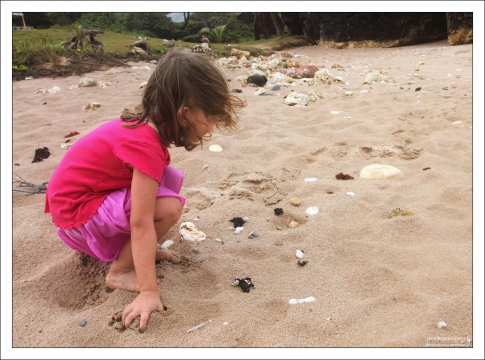 Саша играет с крабиком на пляже Батшеба.