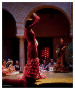 Две солистки. Музей фламенко.