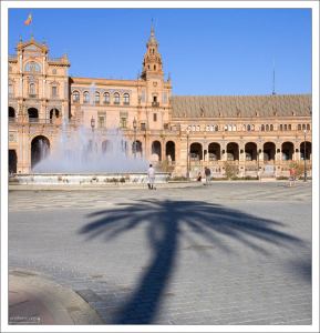 Тень от пальмы на Площади Испании.