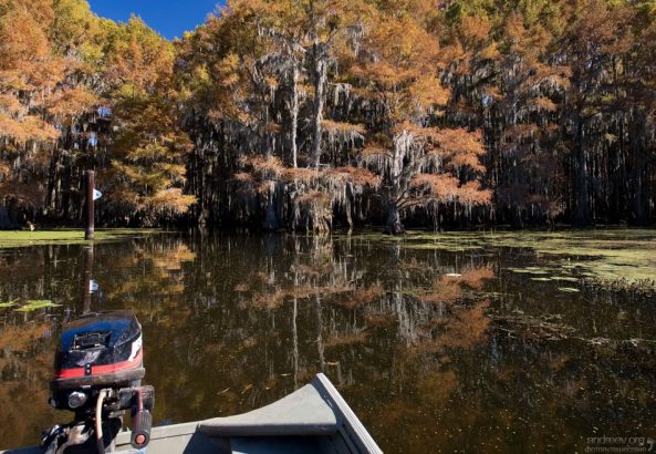 На плоскодонке по протокам.