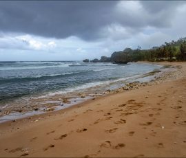 Следы на пляже Bathsheba.
