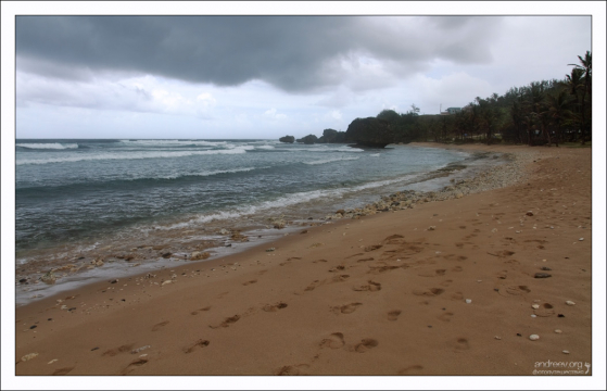 Следы на пляже Bathsheba.