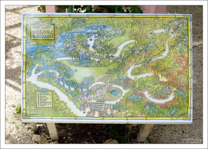 Карта ботанического сада.